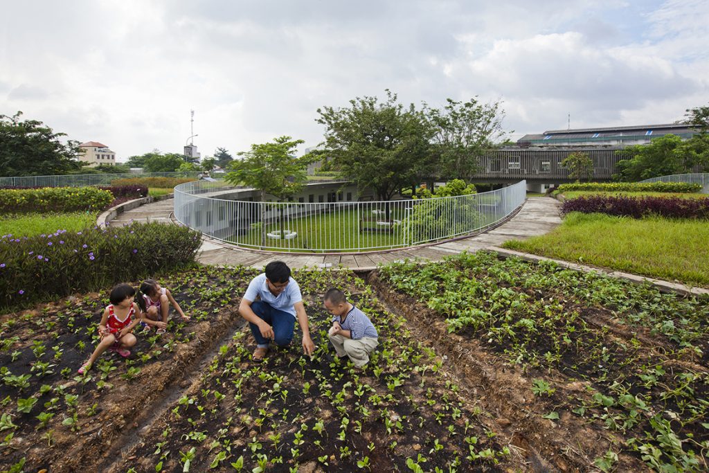 18_experimental_vegetable_garden