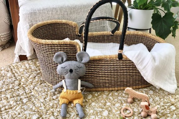 ecosprout moses basket