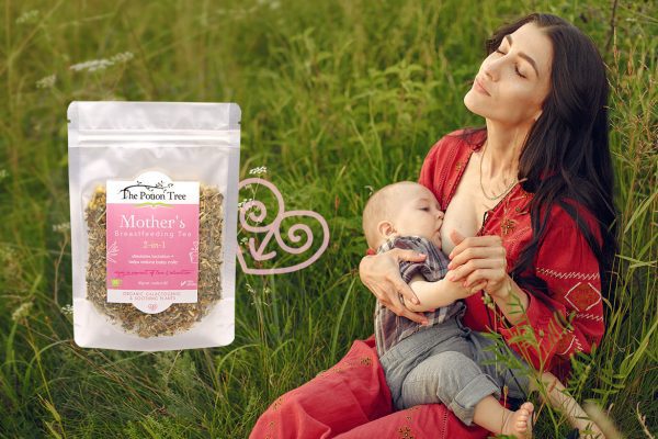 Mother's Breastfeeding Tea: Natural Help for Low Breast Milk Supply ...